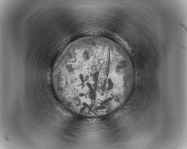 X0000097810065200804111002