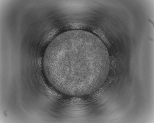 X0000097810066200804111002