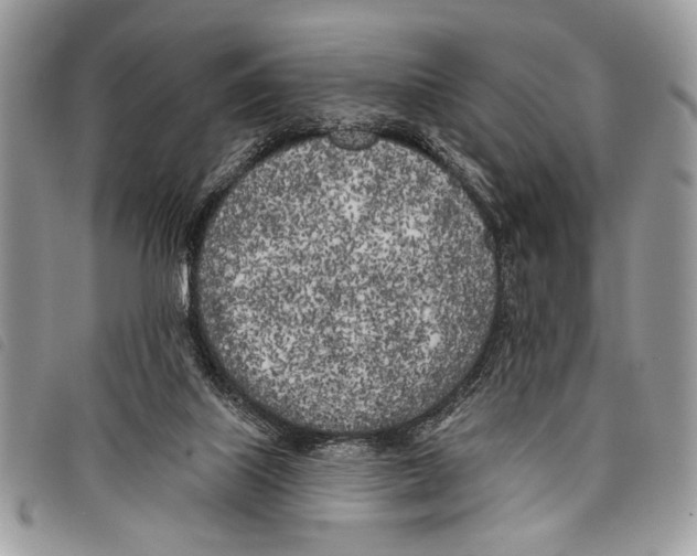 X0000097810067200804111002