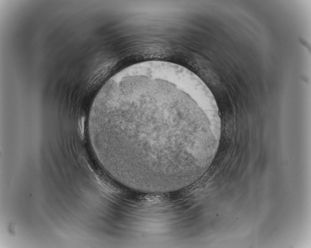 X0000097810070200804111002