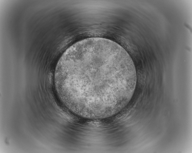 X0000097810071200804111002