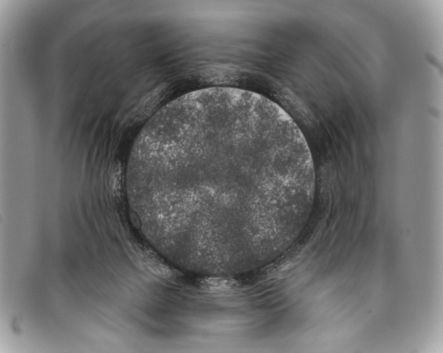 X0000097810073200804111002