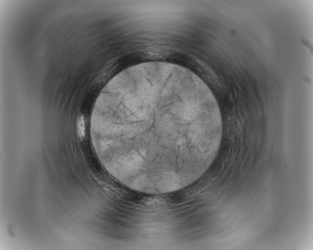 X0000097810075200804111002