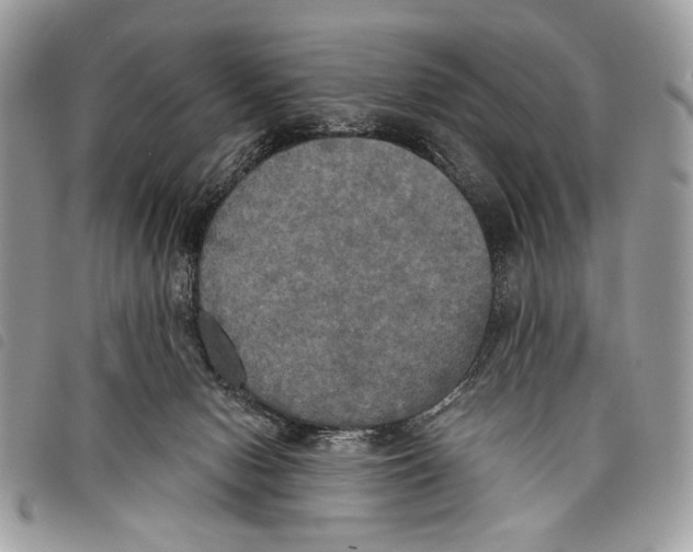 X0000097810078200804111002