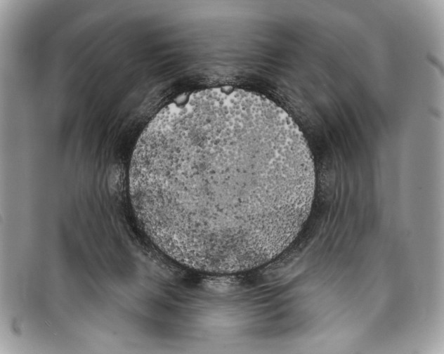 X0000097810079200804111002