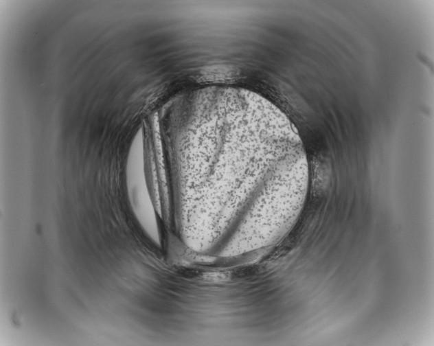 X0000097810080200804111002