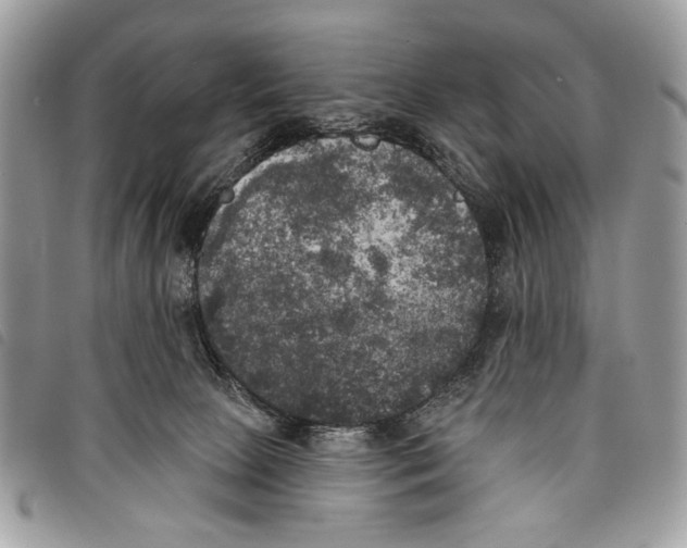 X0000097810081200804111002