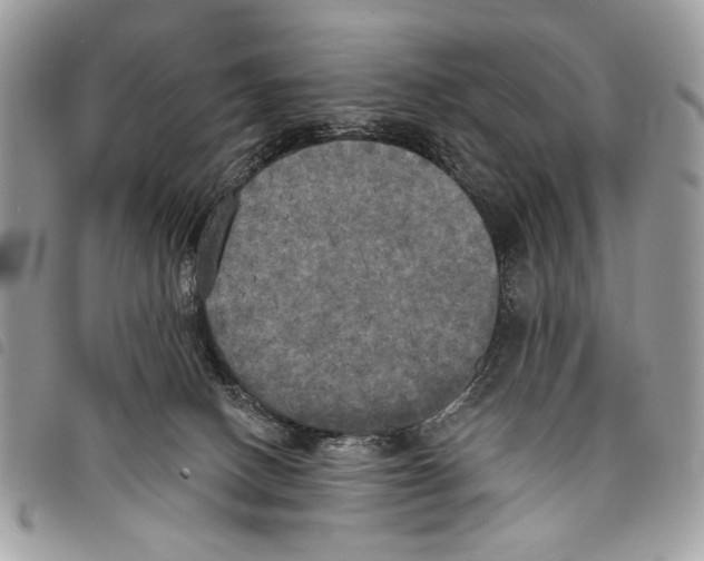 X0000097810082200804111002