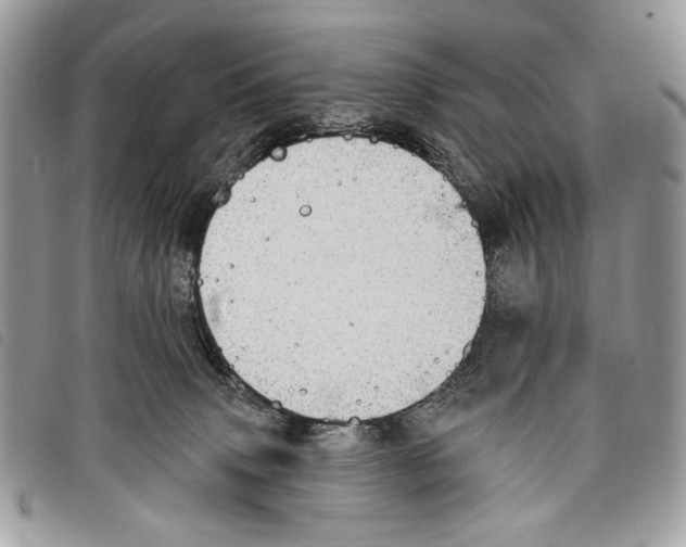 X0000097810083200804111002