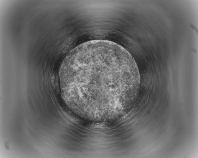 X0000097810086200804111002