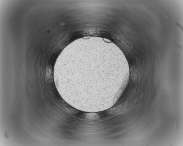 X0000097810087200804111002