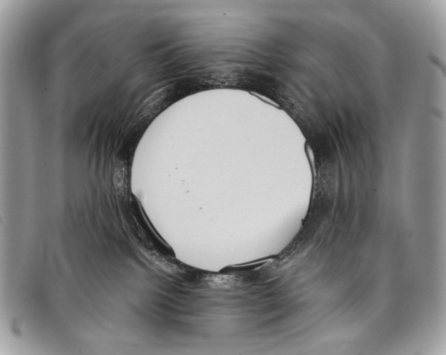 X0000097810092200804111002