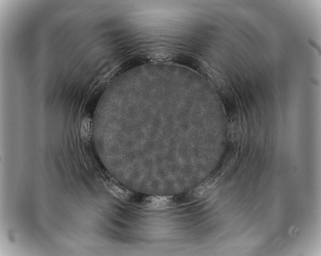 X0000097810093200804111002