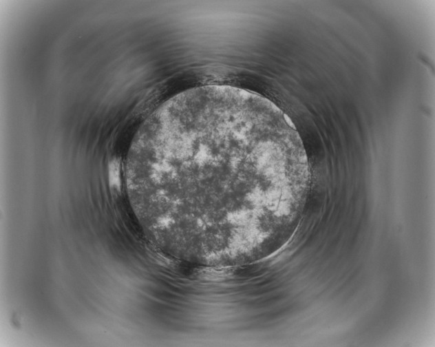 X0000097810094200804111002