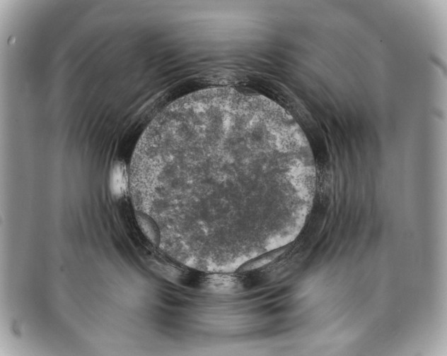 X0000097810095200804111002