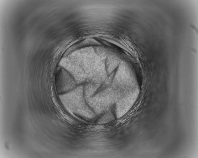 X0000097810097200804111001