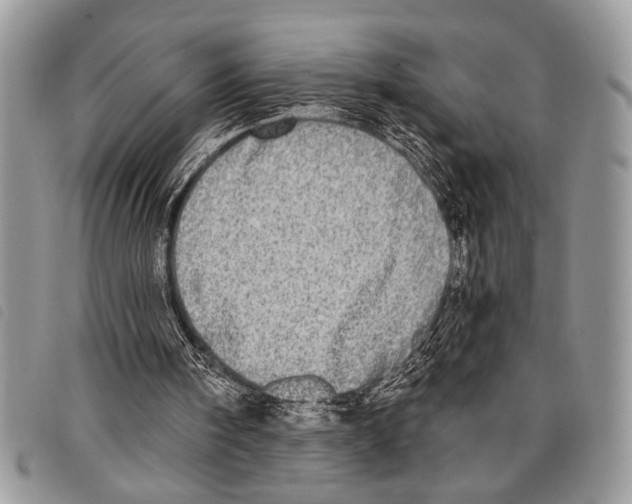 X0000097810098200804111001