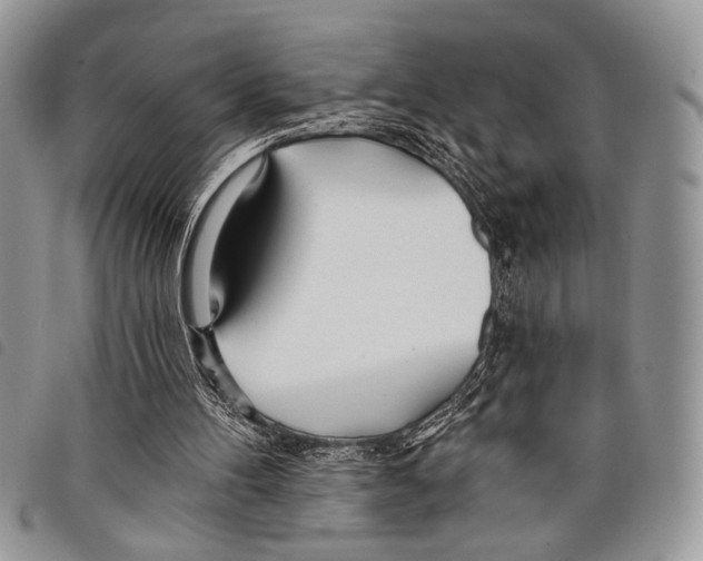 X0000097810100200804111001