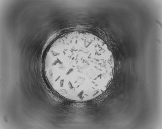 X0000097810102200804111001