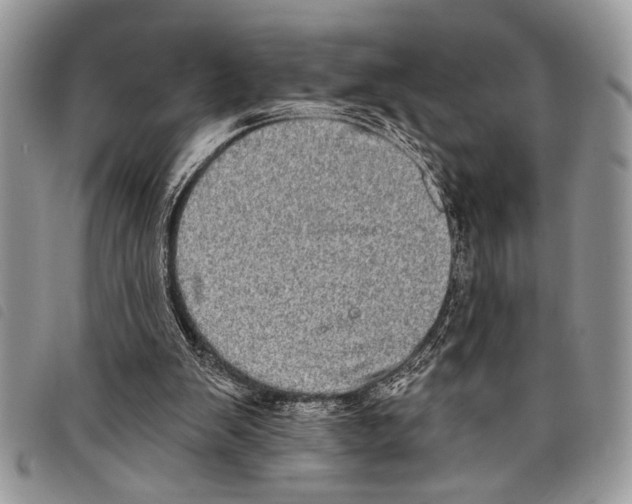 X0000097810103200804111001