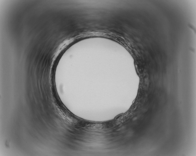 X0000097810104200804111001