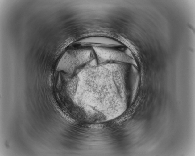 X0000097810105200804111001