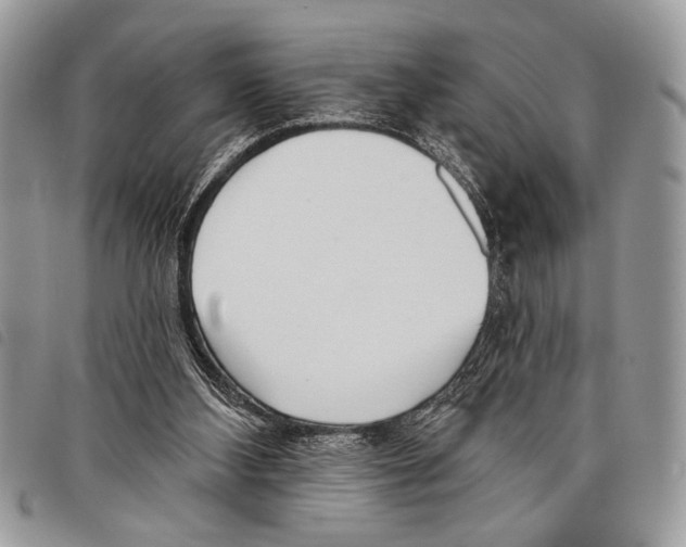 X0000097810108200804111001