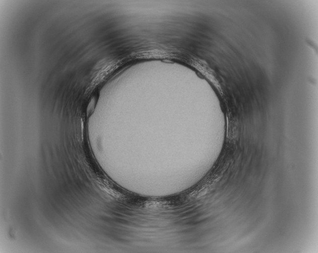 X0000097810109200804111001