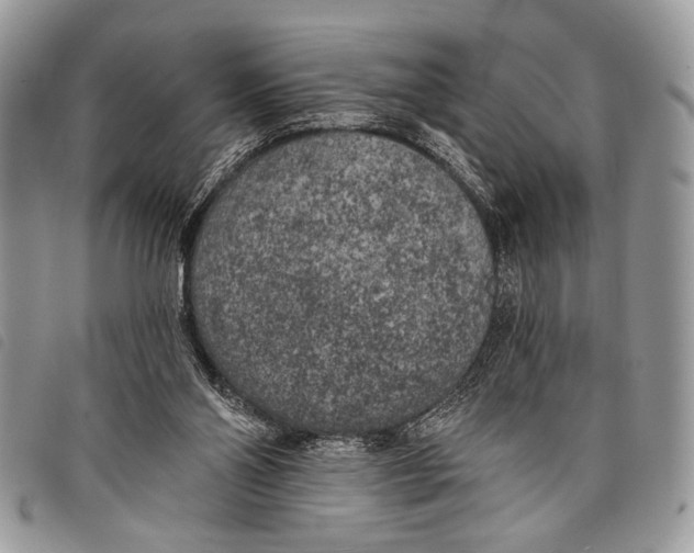 X0000097810110200804111001