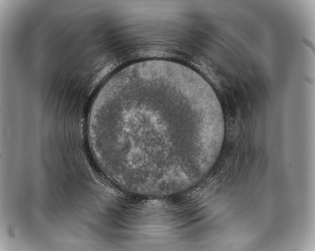 X0000097810111200804111001