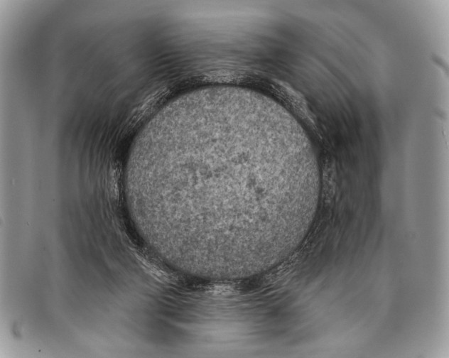 X0000097810114200804111001