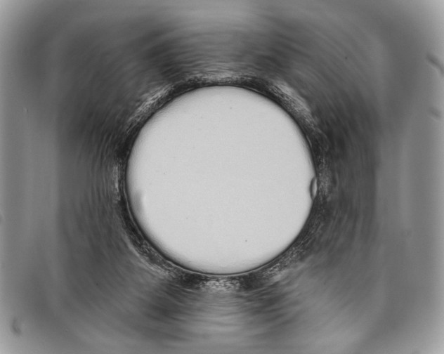 X0000097810115200804111001