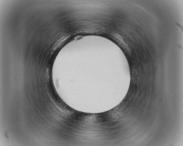 X0000097810116200804111001