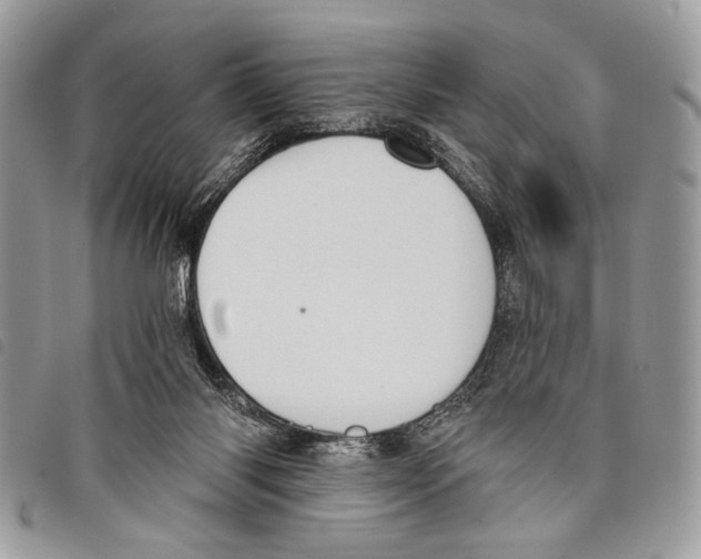 X0000097810118200804111001