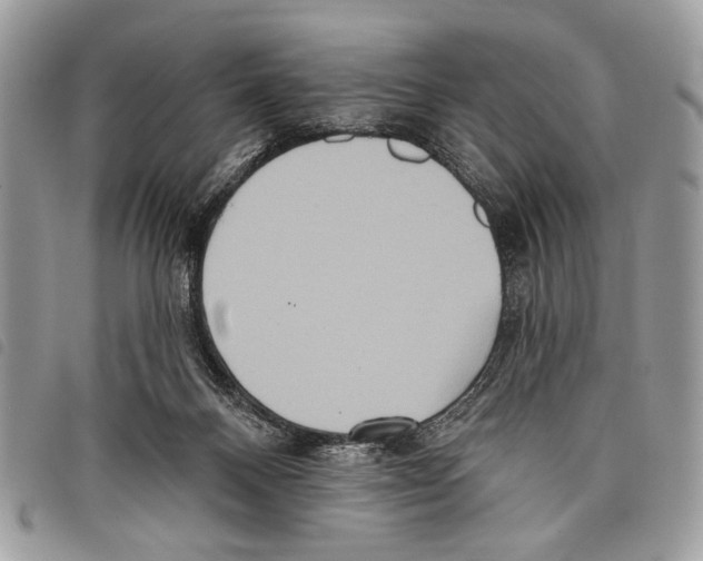 X0000097810120200804111001