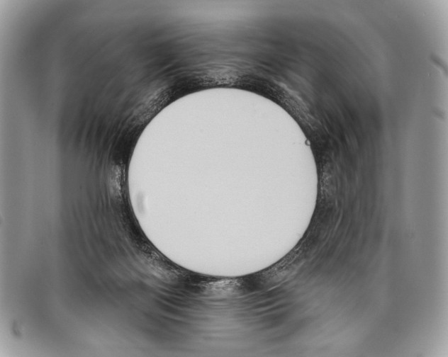 X0000097810122200804111001