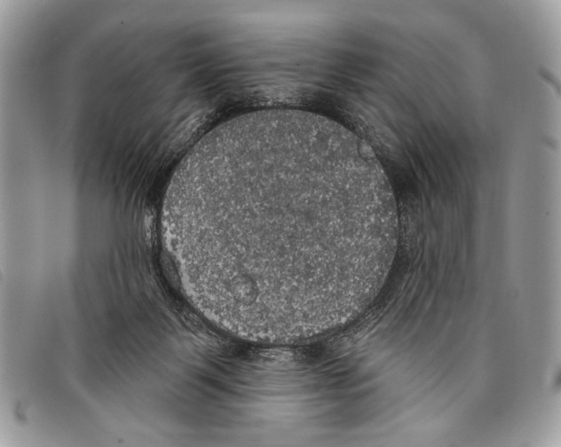 X0000097810123200804111001