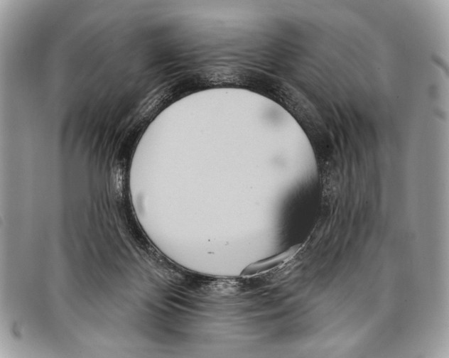 X0000097810124200804111001