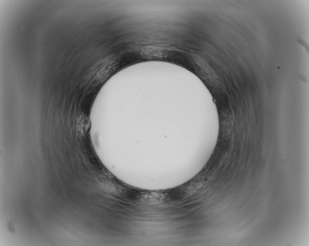 X0000097810125200804111001