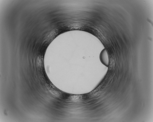 X0000097810126200804111001