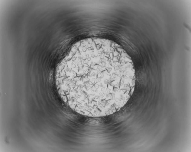 X0000097810127200804111001