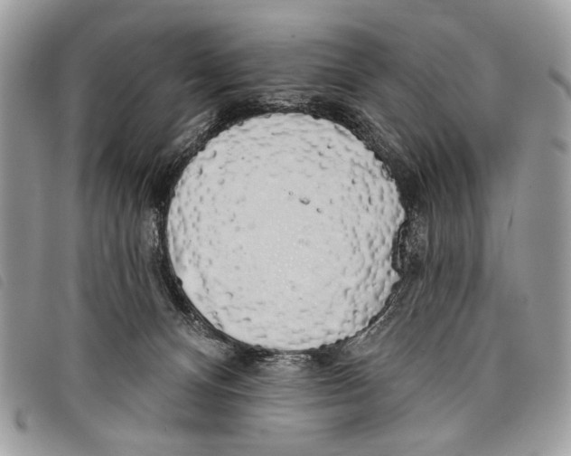 X0000097810128200804111001