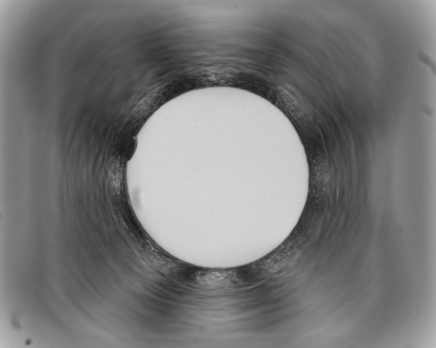 X0000097810129200804111001