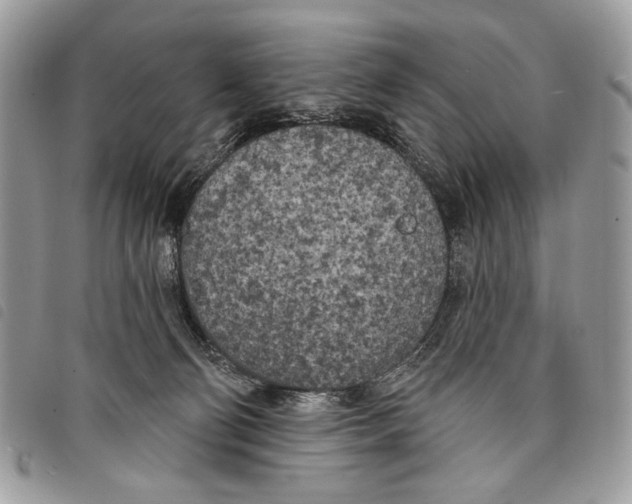 X0000097810130200804111001