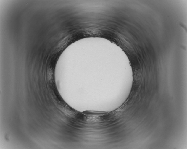 X0000097810132200804111001