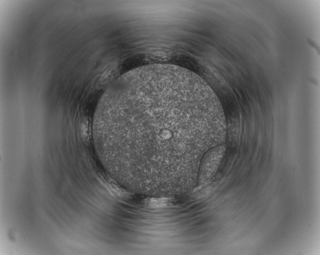 X0000097810134200804111001