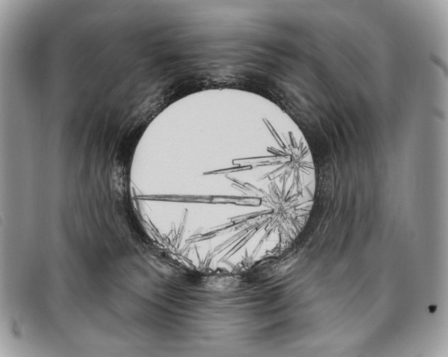 X0000097810135200804111001