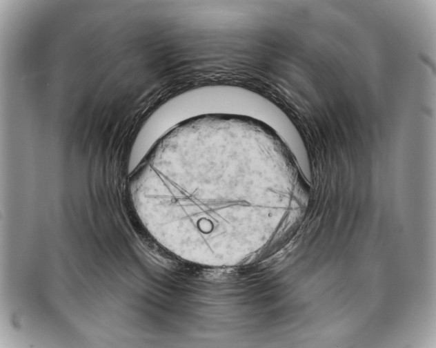 X0000097810136200804111001