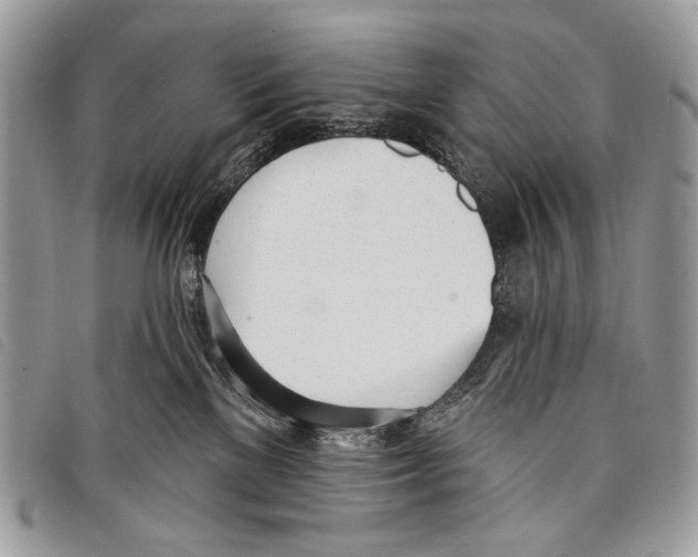 X0000097810137200804111001