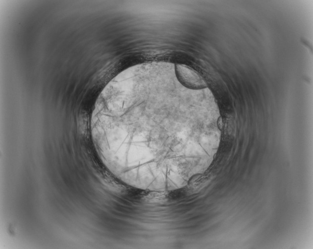 X0000097810138200804111001